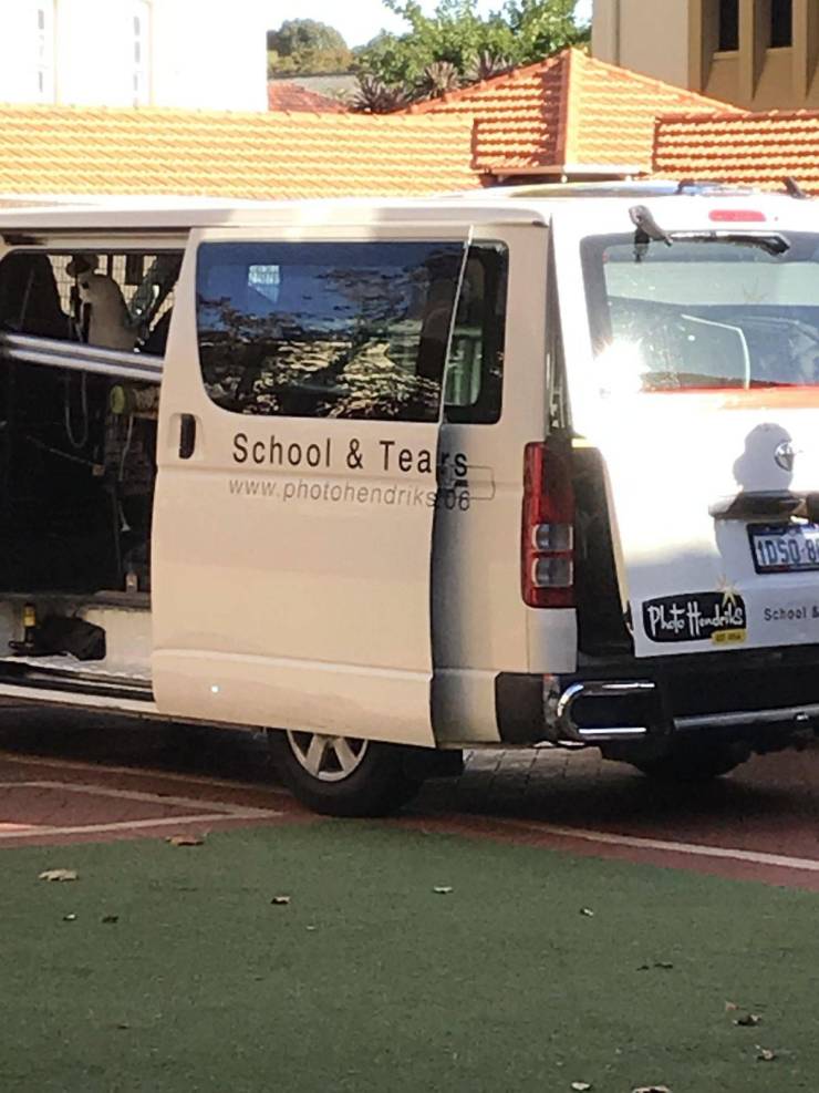 daily picdump 95 pics 46.html - 95 HD Photos | Premium Gallery 2019