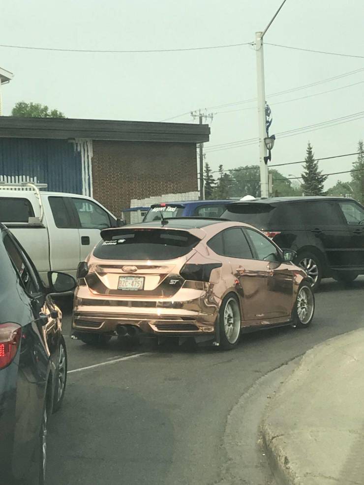 daily picdump 95 pics 46.html - 95 HD Photos | Premium Gallery 2019