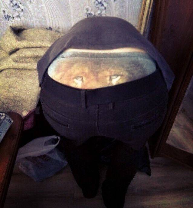 daily picdump 95 pics 46.html - 95 HD Photos | Premium Gallery 2019