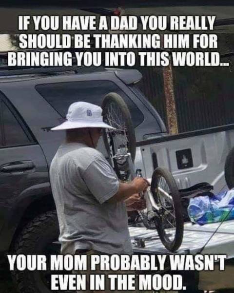 page,3,top 250 funny pics of the year 2019.html - 1 HD Photos | Premium Gallery 2019