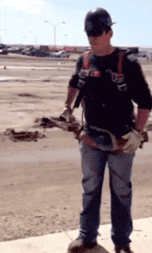 Hammers Are Made To Nail It!