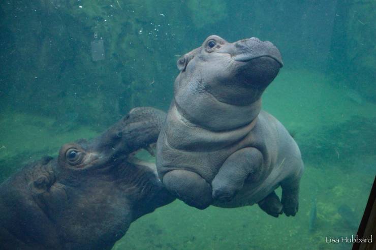 page,2,top 250 morning pics of the year 2019.html - 1 HD Photos | Premium Gallery 2019