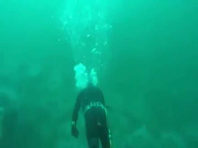 page,5,top 75 videos of the year 2019.html - 1 HD Video | Premium Gallery 2019