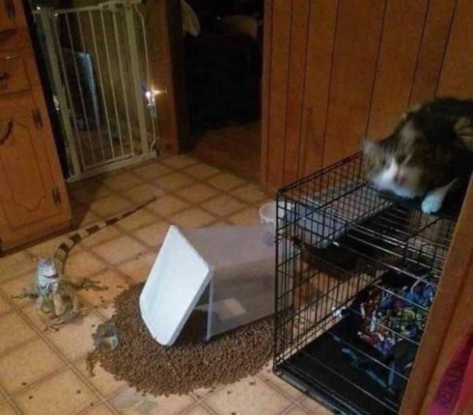 daily picdump 94 pics 4.html - 94 HD Photos | Premium Gallery 2019
