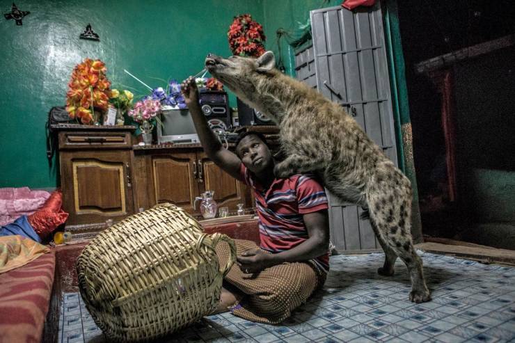 daily picdump 94 pics 4.html - 94 HD Photos | Premium Gallery 2019