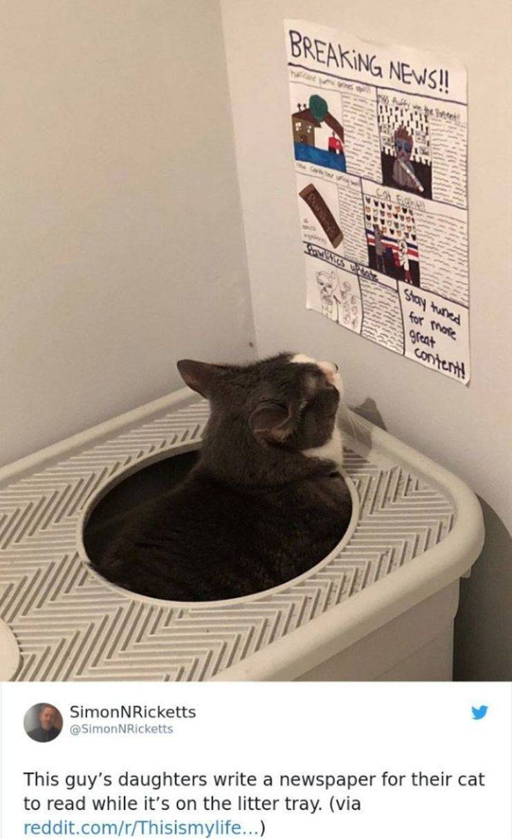 Daily Picdump