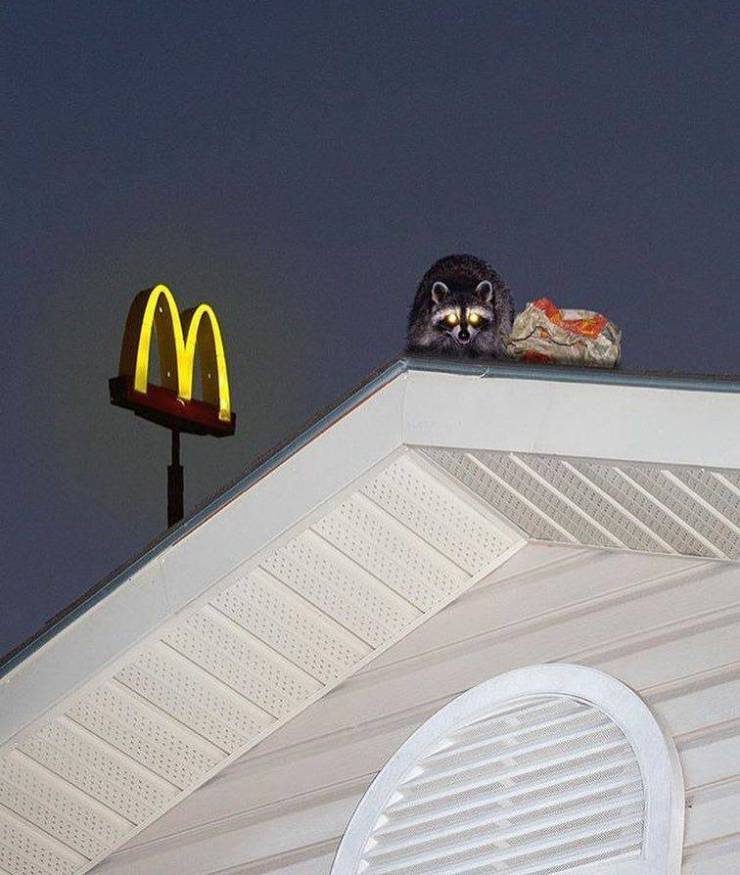 daily picdump 94 pics 4.html - 94 HD Photos | Premium Gallery 2019