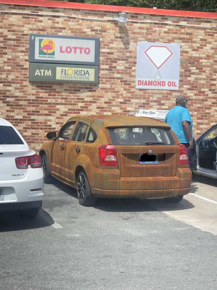 morning picdump 50 pics 1.html - 50 HD Photos | Premium Gallery 2019