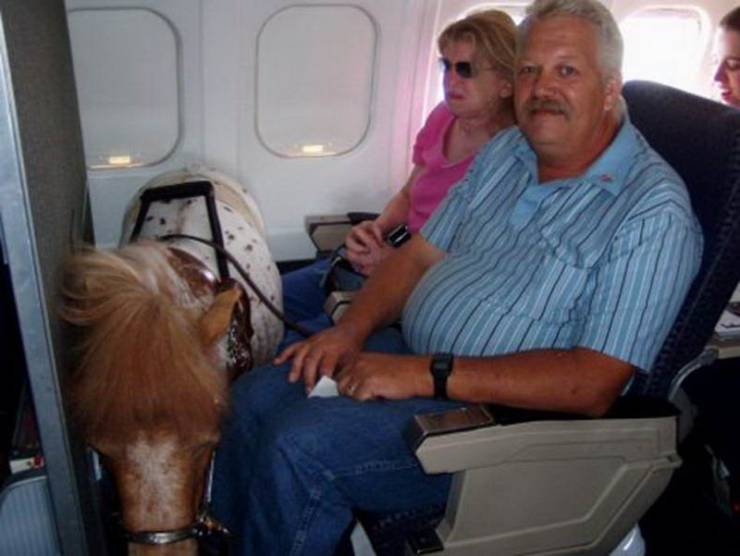 daily picdump 100 pics 16.html - 100 HD Photos | Premium Gallery 2019