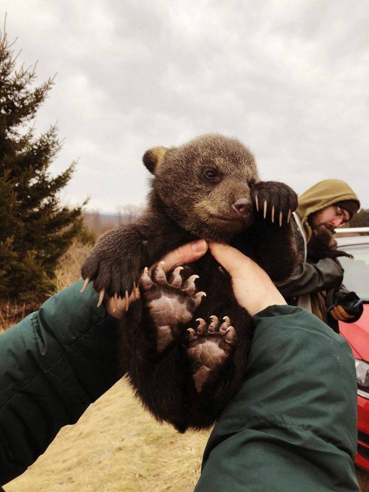 Daily Picdump