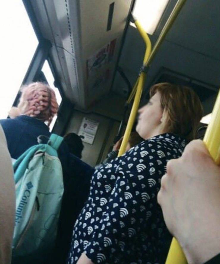 Daily Picdump