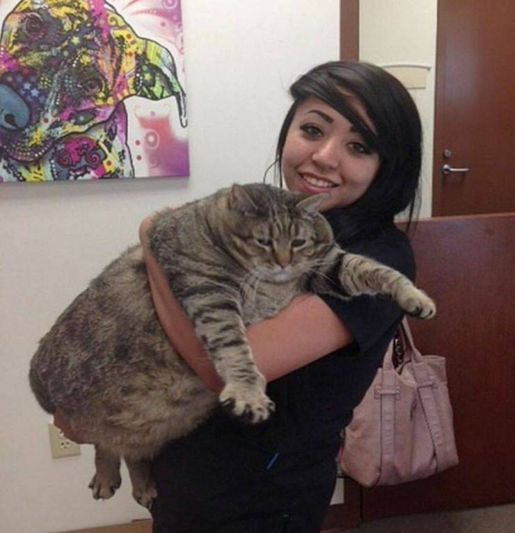 daily picdump 100 pics 16.html - 100 HD Photos | Premium Gallery 2019