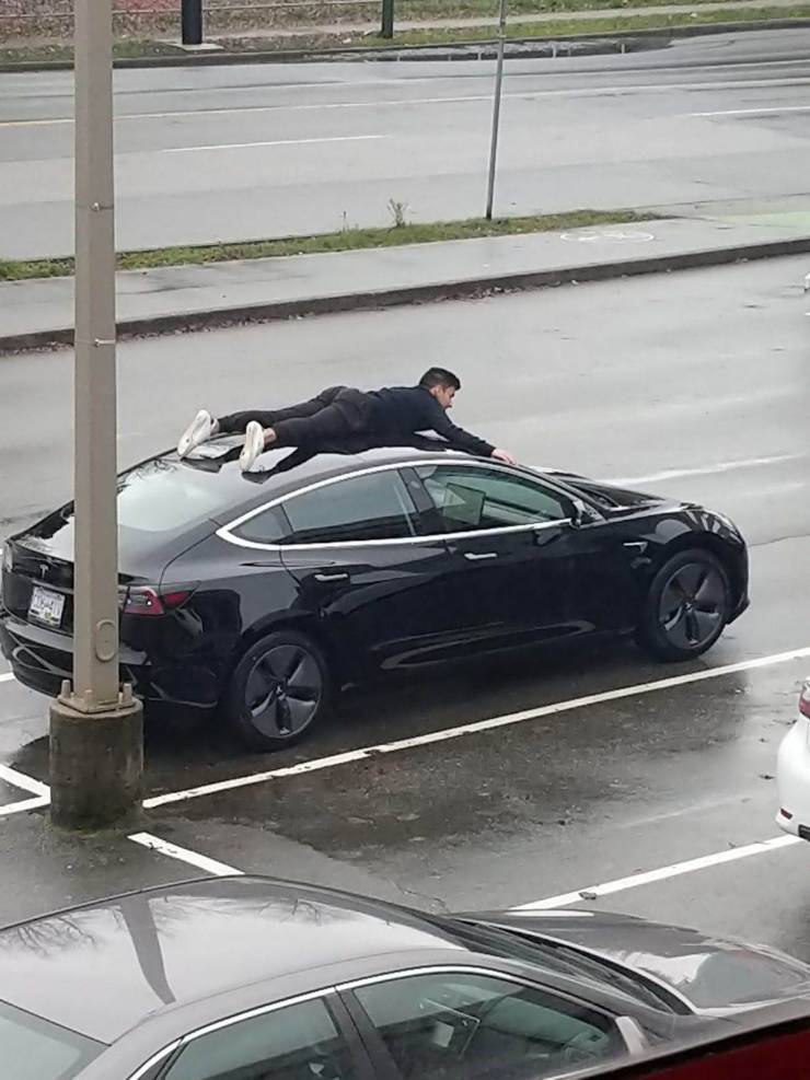 daily picdump 100 pics 16.html - 100 HD Photos | Premium Gallery 2019