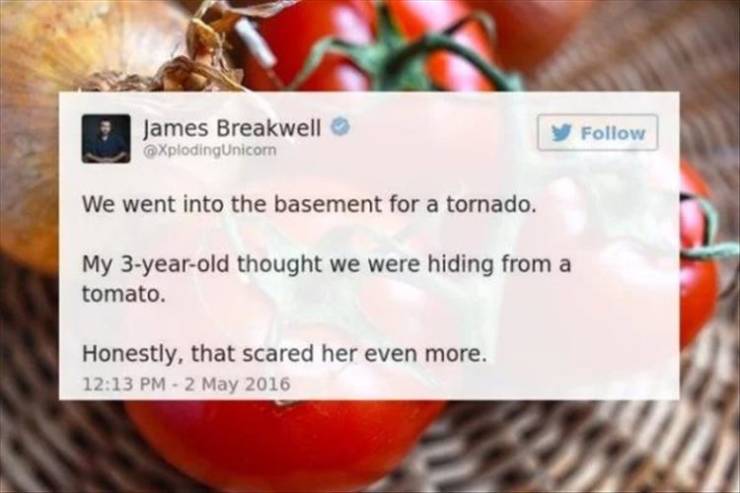 funny picdump 52 pics 10.html - 52 HD Photos | Premium Gallery 2019