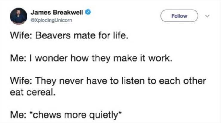 funny picdump 52 pics 10.html - 52 HD Photos | Premium Gallery 2019