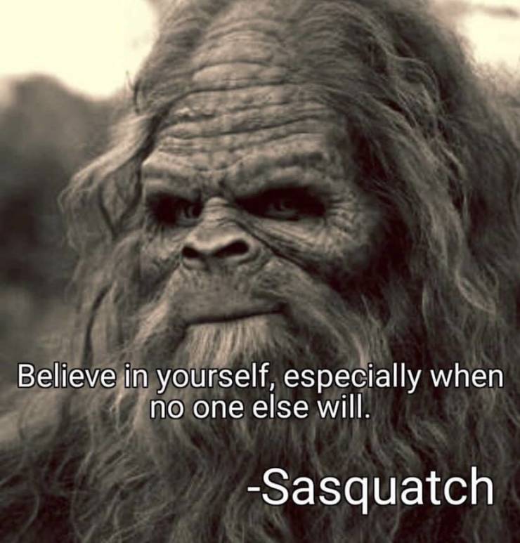 Funny Picdump