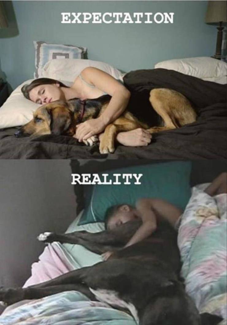 funny picdump 52 pics 10.html - 52 HD Photos | Premium Gallery 2019