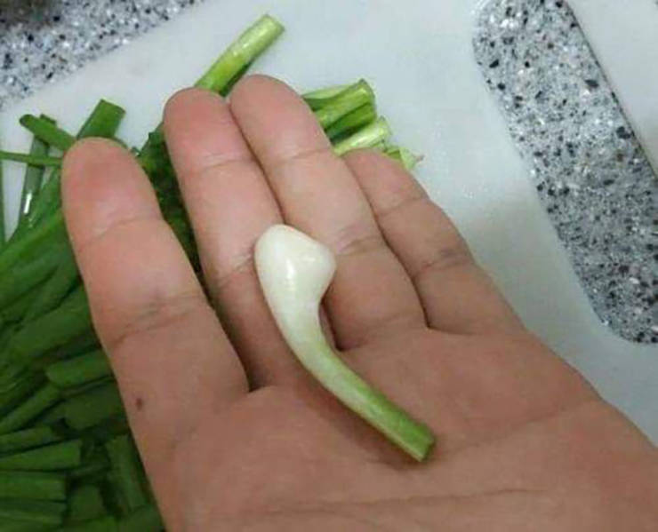 daily picdump weekend edition 52 pics 2.html - 52 HD Photos | Premium Gallery 2019