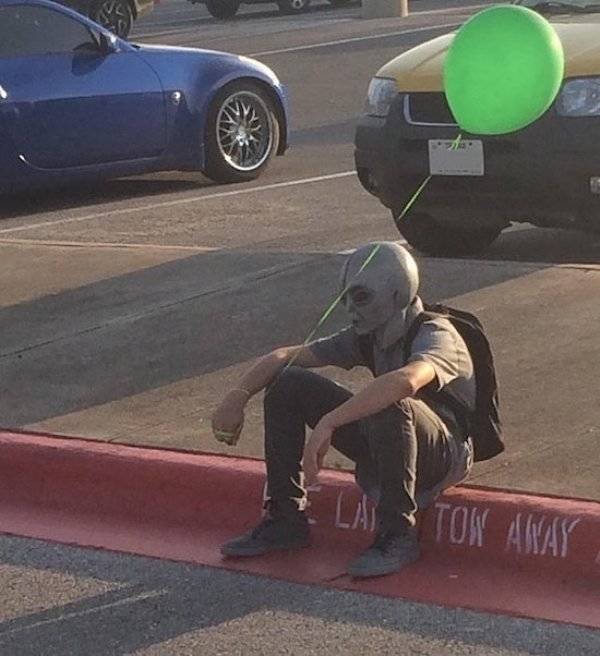 daily picdump weekend edition 52 pics 2.html - 52 HD Photos | Premium Gallery 2019