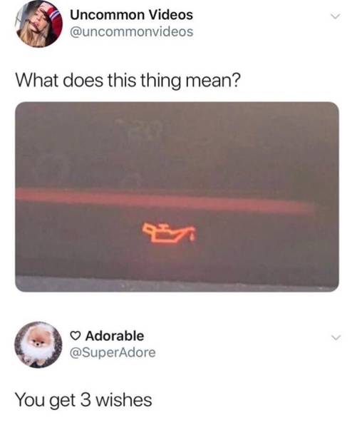 page,8,top 250 funny pics of the year 2019.html - 1 HD Photos | Premium Gallery 2019