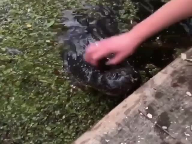 page,3,top 75 videos of the year 2019.html - 1 HD Video | Premium Gallery 2019