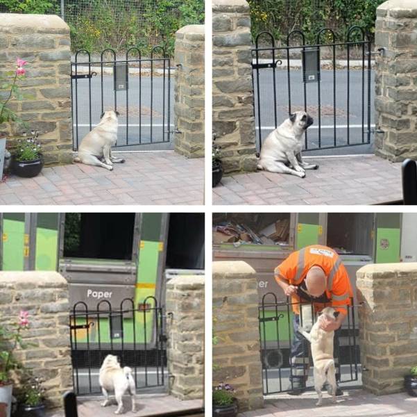 page,15,top 750 daily pics of the year 2019.html - 1 HD Photos | Premium Gallery 2019