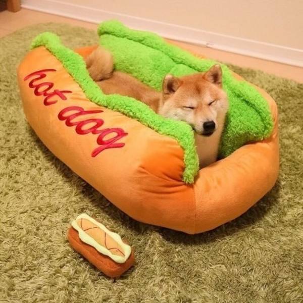 Morning Picdump
