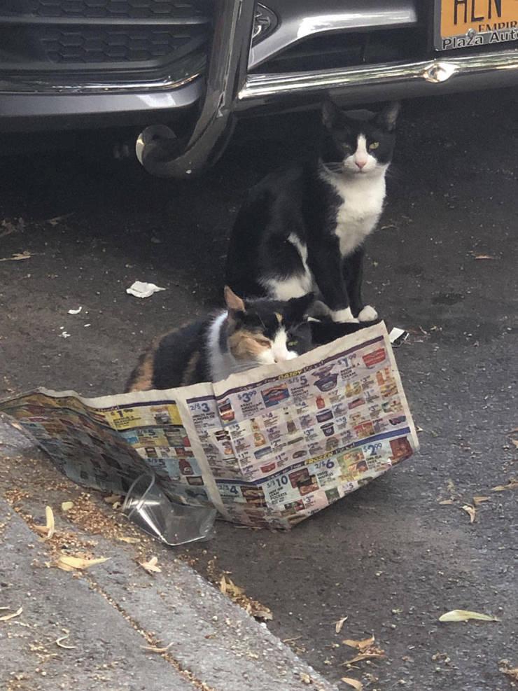 Morning Picdump
