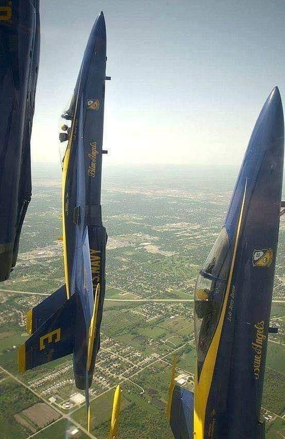 Morning Picdump