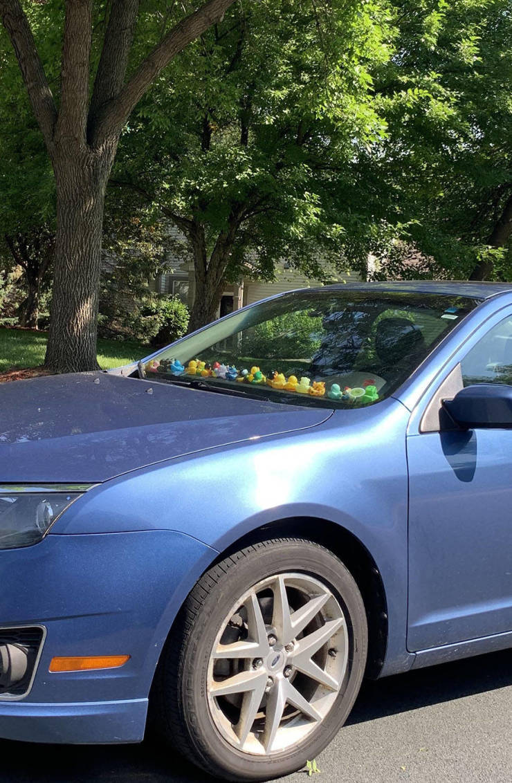morning picdump 51 pics 4.html - 51 HD Photos | Premium Gallery 2019