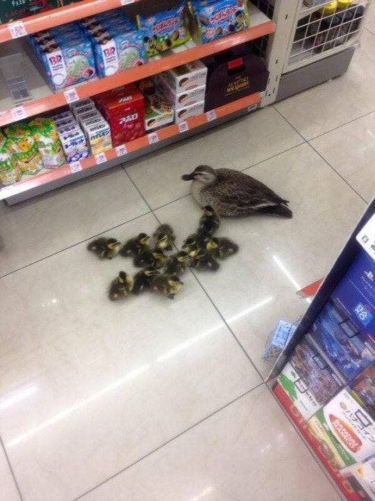 morning picdump 51 pics 4.html - 51 HD Photos | Premium Gallery 2019