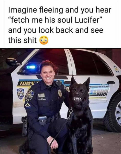 page,3,top 250 funny pics of the year 2019.html - 1 HD Photos | Premium Gallery 2019