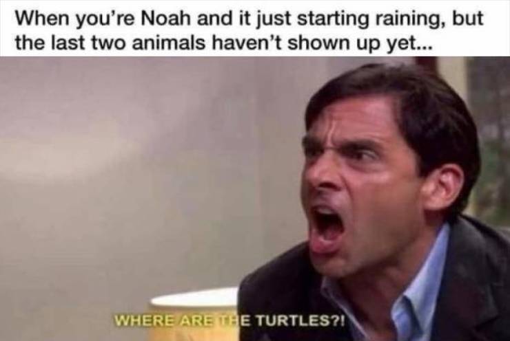funny picdump 55 pics 1.html - 55 HD Photos | Premium Gallery 2019