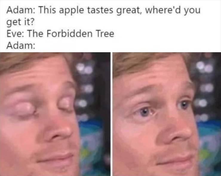 funny picdump 55 pics 1.html - 55 HD Photos | Premium Gallery 2019
