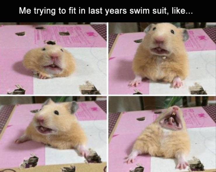 funny picdump 55 pics 1.html - 55 HD Photos | Premium Gallery 2019