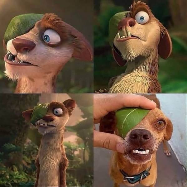 page,25,top 750 daily pics of the year 2019.html - 1 HD Photos | Premium Gallery 2019