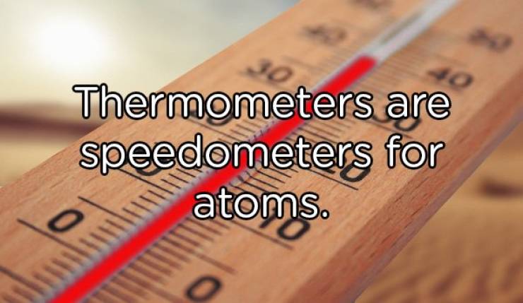 top 100 interesting pics of the year 2019.html - 1 HD Photos | Premium Gallery 2019