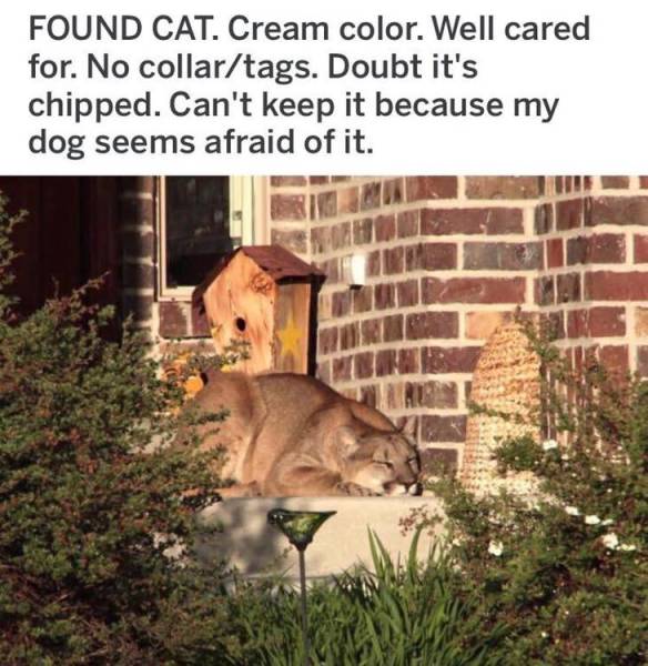 page,8,top 250 funny pics of the year 2019.html - 1 HD Photos | Premium Gallery 2019