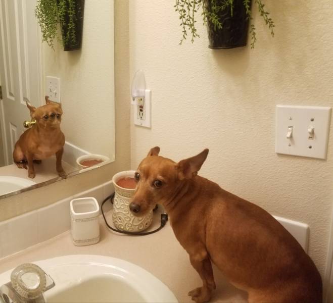 daily picdump 95 pics 39.html - 95 HD Photos | Premium Gallery 2019