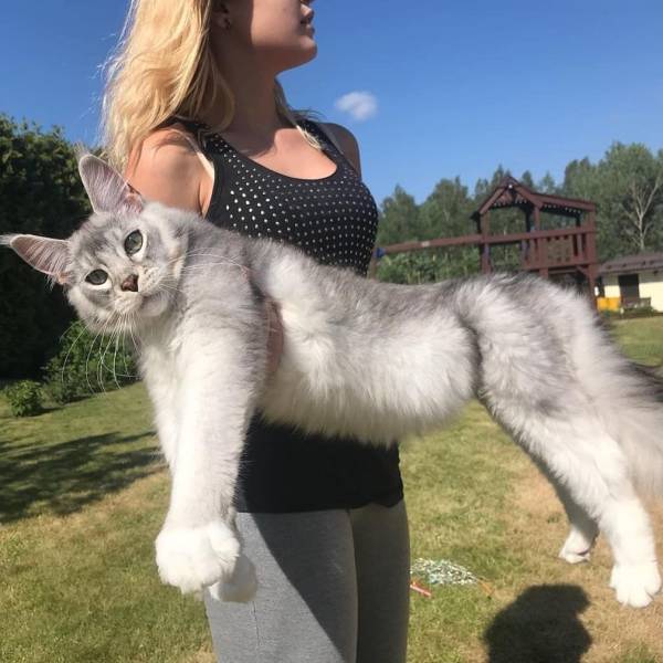 daily picdump 95 pics 39.html - 95 HD Photos | Premium Gallery 2019