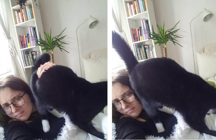 daily picdump 95 pics 39.html - 95 HD Photos | Premium Gallery 2019