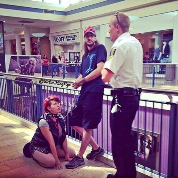 daily picdump 95 pics 39.html - 95 HD Photos | Premium Gallery 2019
