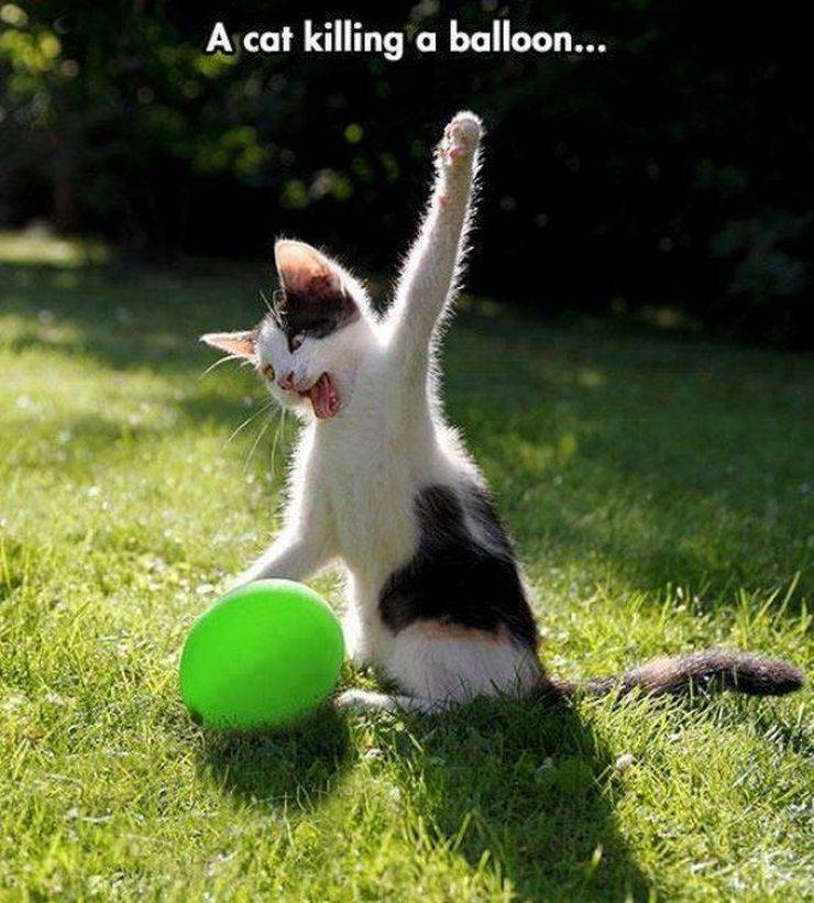 daily picdump 95 pics 39.html - 95 HD Photos | Premium Gallery 2019