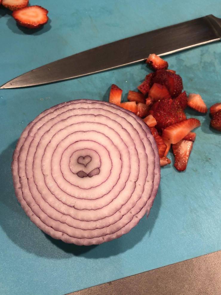 daily picdump 95 pics 39.html - 95 HD Photos | Premium Gallery 2019