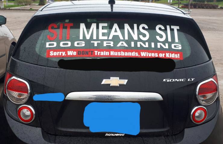 funny picdump 53 pics 3.html - 53 HD Photos | Premium Gallery 2019
