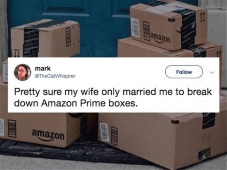 funny picdump 53 pics 3.html - 53 HD Photos | Premium Gallery 2019