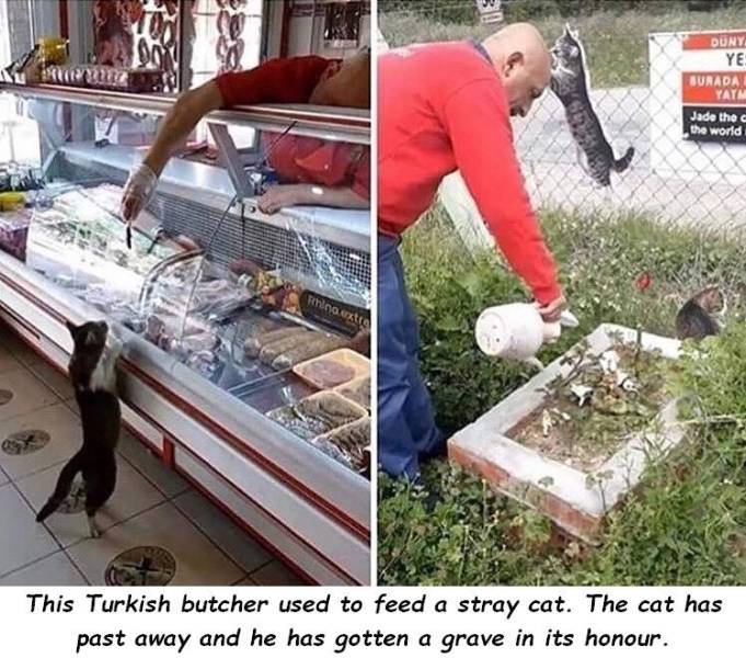 page,2,top 750 daily pics of the year 2019.html - 1 HD Photos | Premium Gallery 2019