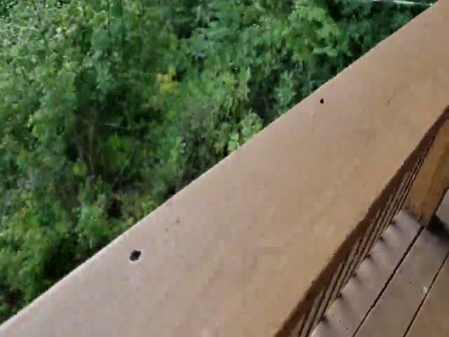 top 75 videos of the year 2019.html - 1 HD Video | Premium Gallery 2019