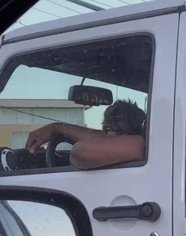 funny picdump 51 pics 16.html - 51 HD Photos | Premium Gallery 2019