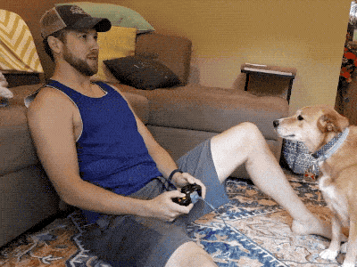 Pet Me! PET ME HUMAN!